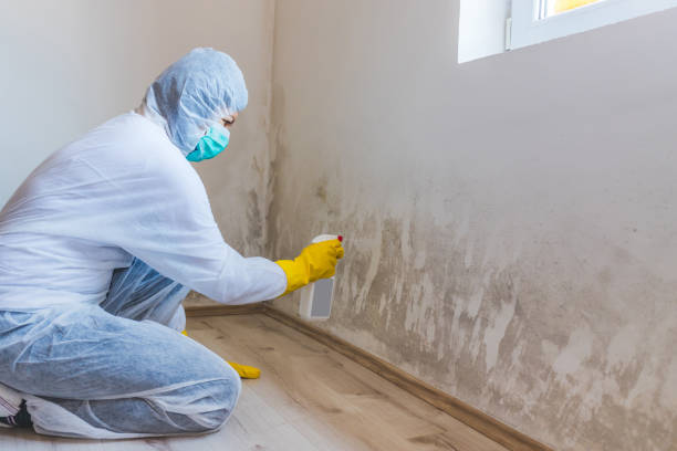 Licensed Crawl Space Mold Removal service in Centreville, IL - WQB Mold Removal