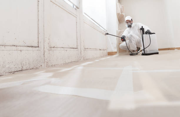 Trusted Crawl Space Mold Removal service in Centreville, IL - WQB Mold Removal