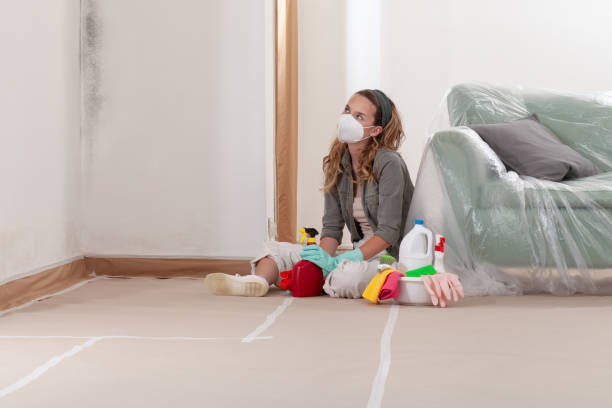 Reliable Crawl Space Mold Removal contractor in Centreville, IL by WQB Mold Removal