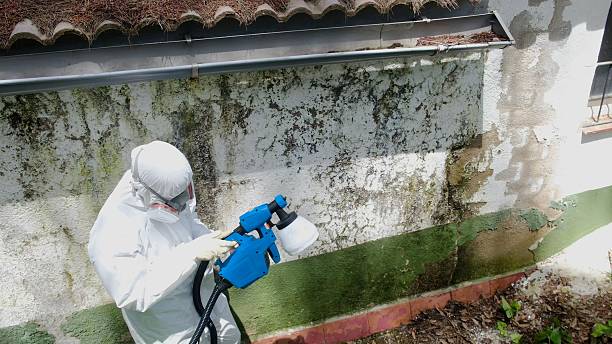 Top rated local Crawl Space Mold Removal specialists in Centreville, IL